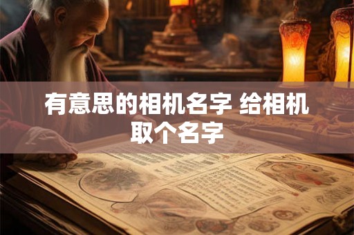 有意思的相机名字 给相机取个名字 有意思的相机名字 给相机取个名字