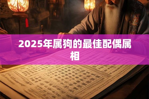 2025年属狗的最佳配偶属相 2025年属狗的最佳配偶属相