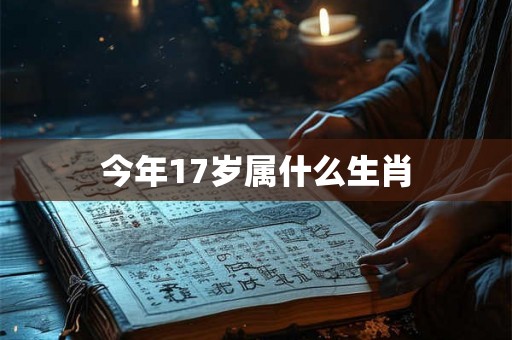 今年17岁属什么生肖