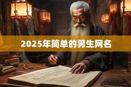 2025年简单的男生网名