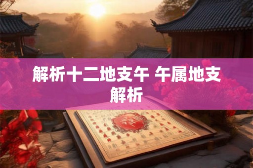 解析十二地支午 午属地支解析