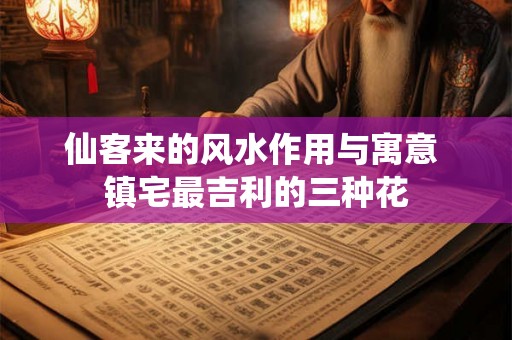 仙客来的风水作用与寓意 镇宅最吉利的三种花 仙客来的风水作用与寓意 镇宅最吉利的三种花
