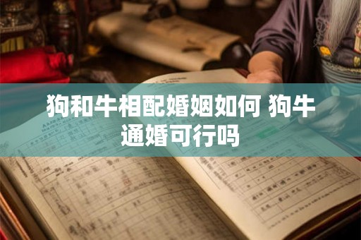 狗和牛相配婚姻如何 狗牛通婚可行吗 狗和牛相配婚姻如何 狗牛通婚可行吗