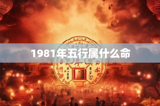 1981年五行属什么命 1981年五行属什么命