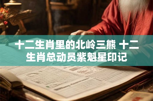 十二生肖里的北岭三熊 十二生肖总动员紫魁星印记 十二生肖里的北岭三熊 十二生肖总动员紫魁星印记