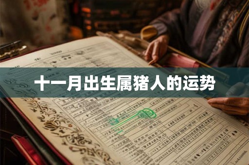 十一月出生属猪人的运势 十一月出生属猪人的运势