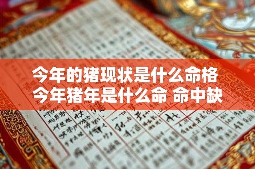 今年的猪现状是什么命格 今年猪年是什么命 命中缺什么