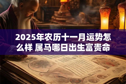 2025年农历十一月运势怎么样 属马哪日出生富贵命 2025年农历十一月运势怎么样 属马哪日出生富贵命
