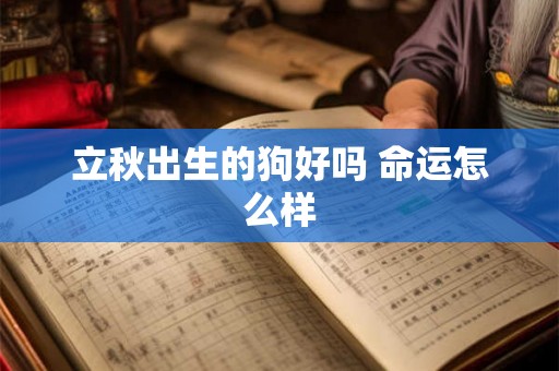 立秋出生的狗好吗 命运怎么样