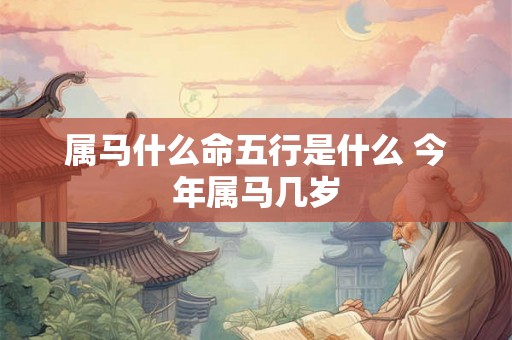 属马什么命五行是什么 今年属马几岁 属马什么命五行是什么 今年属马几岁