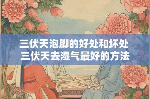 三伏天泡脚的好处和坏处 三伏天去湿气最好的方法 三伏天泡脚的好处和坏处 三伏天去湿气最好的方法
