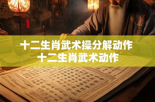 十二生肖武术操分解动作 十二生肖武术动作