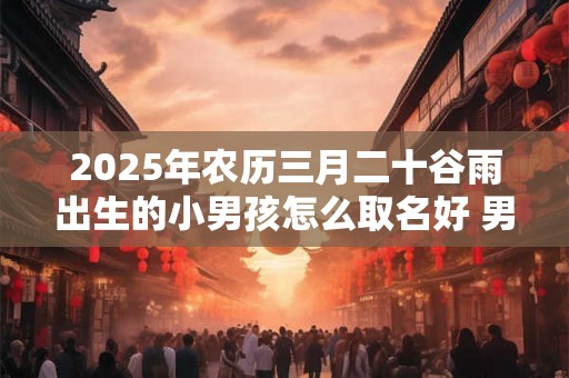 2025年农历三月二十谷雨出生的小男孩怎么取名好 男孩名字大全集 2025年农历三月二十谷雨出生的小男孩怎么取名好 男孩名字大全集