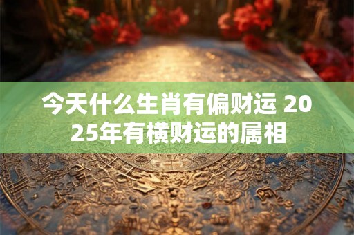 今天什么生肖有偏财运 2025年有横财运的属相