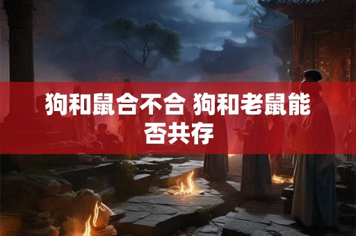 狗和鼠合不合 狗和老鼠能否共存