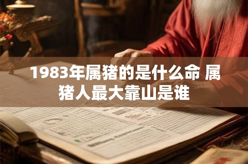 1983年属猪的是什么命 属猪人最大靠山是谁 1983年属猪的是什么命 属猪人最大靠山是谁