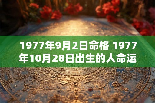 1977年9月2日命格 1977年10月28日出生的人命运 1977年9月2日命格 1977年10月28日出生的人命运