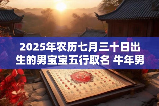2025年农历七月三十日出生的男宝宝五行取名 牛年男孩最佳名字推荐 2025年农历七月三十日出生的男宝宝五行取名 牛年男孩最佳名字推荐