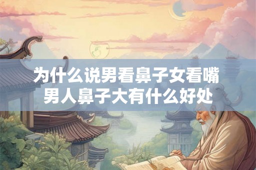 为什么说男看鼻子女看嘴 男人鼻子大有什么好处 为什么说男看鼻子女看嘴 男人鼻子大有什么好处