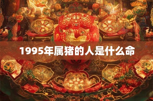 1995年属猪的人是什么命 1995年属猪的人是什么命