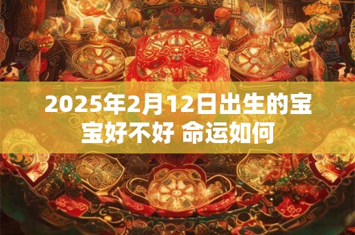 2025年2月12日出生的宝宝好不好 命运如何