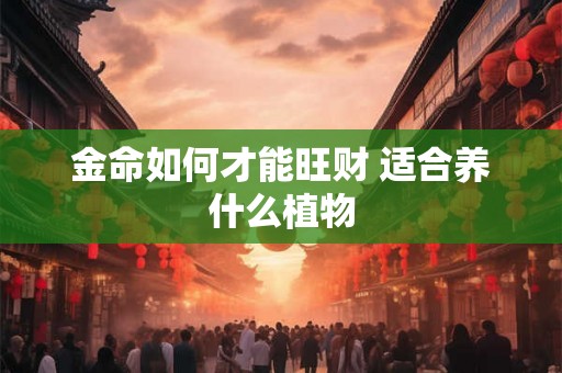 金命如何才能旺财 适合养什么植物