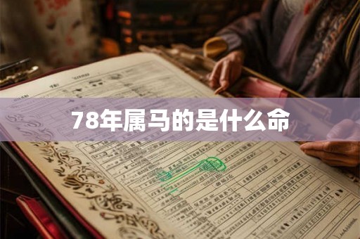 78年属马的是什么命 78年属马的是什么命