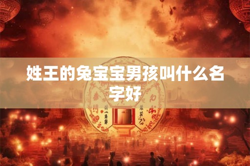 姓王的兔宝宝男孩叫什么名字好