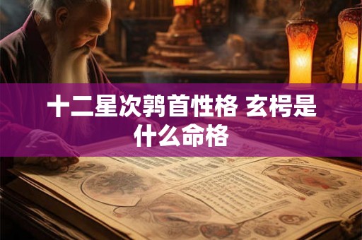 十二星次鹑首性格 玄枵是什么命格