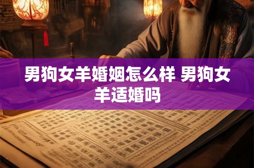 男狗女羊婚姻怎么样 男狗女羊适婚吗 男狗女羊婚姻怎么样 男狗女羊适婚吗