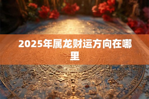 2025年属龙财运方向在哪里 2025年属龙财运方向在哪里