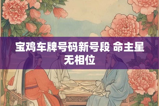 宝鸡车牌号码新号段 命主星无相位