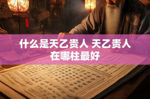 什么是天乙贵人 天乙贵人在哪柱最好 什么是天乙贵人 天乙贵人在哪柱最好