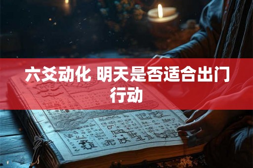 六爻动化 明天是否适合出门行动
