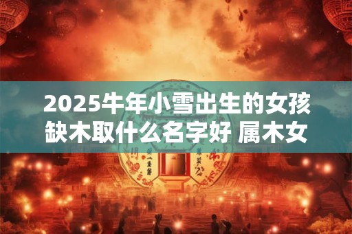 2025牛年小雪出生的女孩缺木取什么名字好 属木女宝宝名字精选 2025牛年小雪出生的女孩缺木取什么名字好 属木女宝宝名字精选