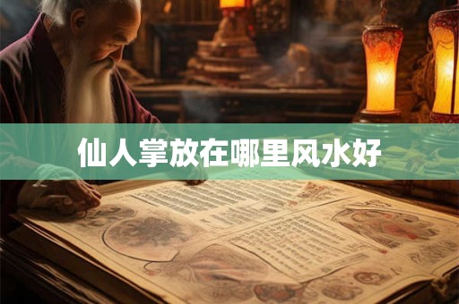 仙人掌放在哪里风水好 仙人掌放在哪里风水好