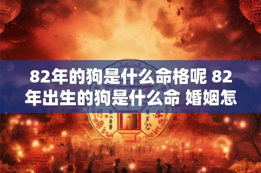 82年的狗是什么命格呢 82年出生的狗是什么命 婚姻怎样 82年的狗是什么命格呢 82年出生的狗是什么命 婚姻怎样