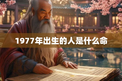 1977年出生的人是什么命