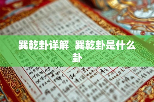 巽乾卦详解  巽乾卦是什么卦