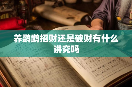 养鹦鹉招财还是破财有什么讲究吗 养鹦鹉招财还是破财有什么讲究吗