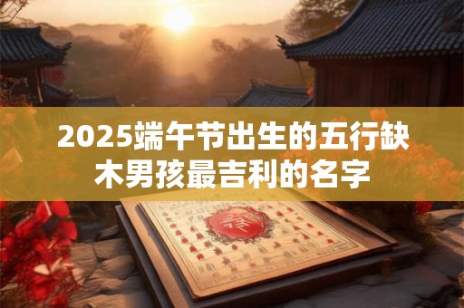 2025端午节出生的五行缺木男孩最吉利的名字 2025端午节出生的五行缺木男孩最吉利的名字