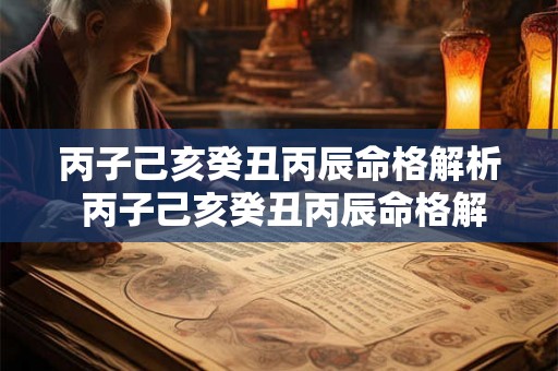 丙子己亥癸丑丙辰命格解析 丙子己亥癸丑丙辰命格解析大全