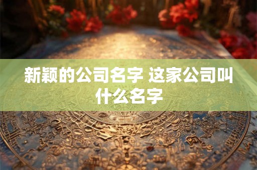 新颖的公司名字 这家公司叫什么名字 新颖的公司名字 这家公司叫什么名字