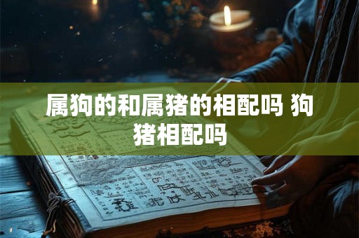 属狗的和属猪的相配吗 狗猪相配吗 属狗的和属猪的相配吗 狗猪相配吗