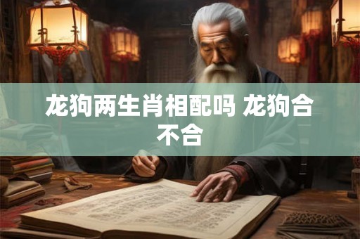 龙狗两生肖相配吗 龙狗合不合 龙狗两生肖相配吗 龙狗合不合