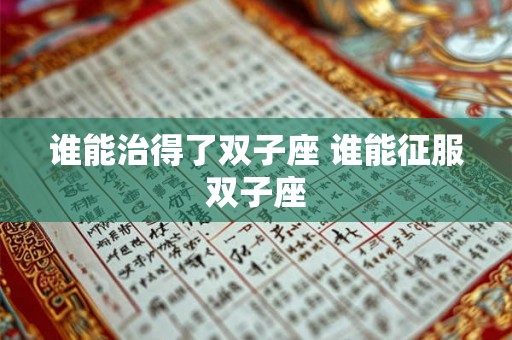 谁能治得了双子座 谁能征服双子座 谁能治得了双子座 谁能征服双子座