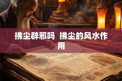 拂尘辟邪吗  拂尘的风水作用