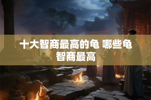 十大智商最高的龟 哪些龟智商最高 十大智商最高的龟 哪些龟智商最高