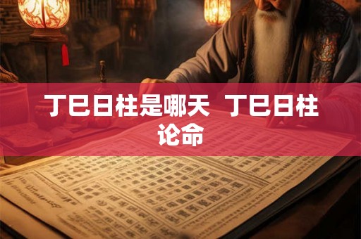 丁巳日柱是哪天  丁巳日柱论命