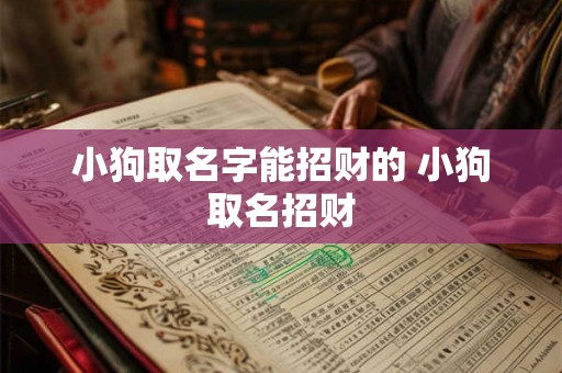 小狗取名字能招财的 小狗取名招财